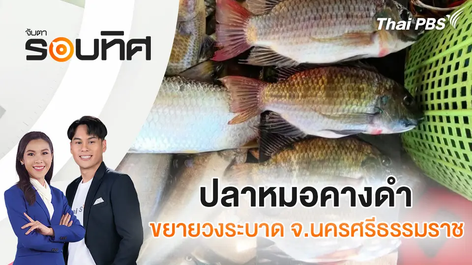 จับตารอบทิศ