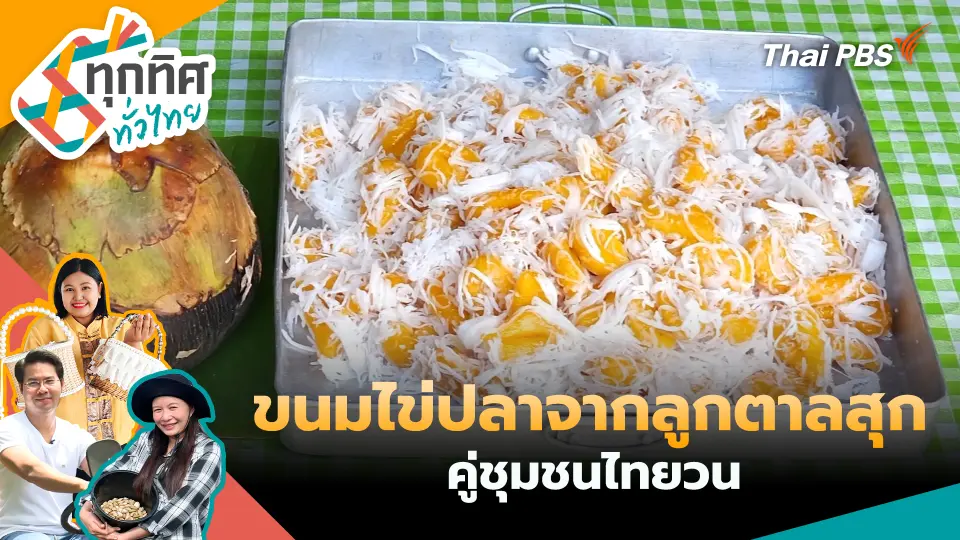 ทุกทิศทั่วไทย