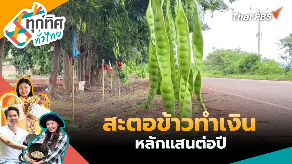 ทุกทิศทั่วไทย