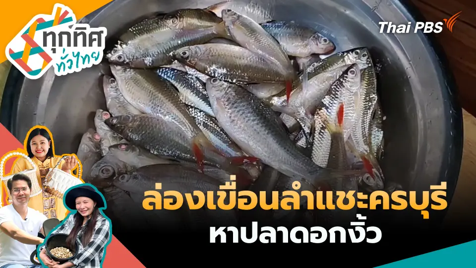 ทุกทิศทั่วไทย