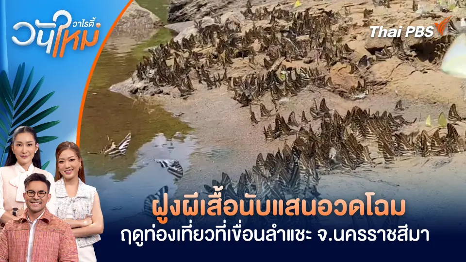 วันใหม่วาไรตี้
