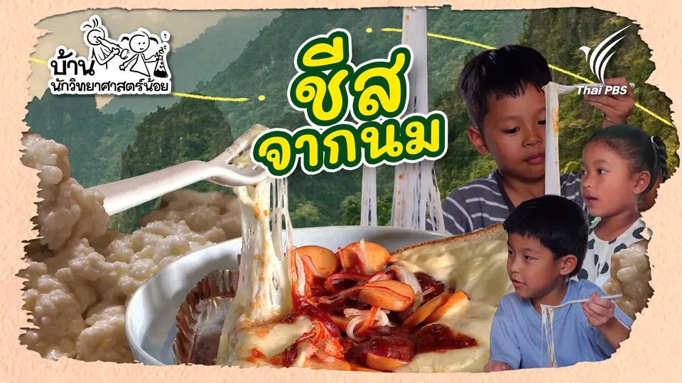 ชีสจากนม