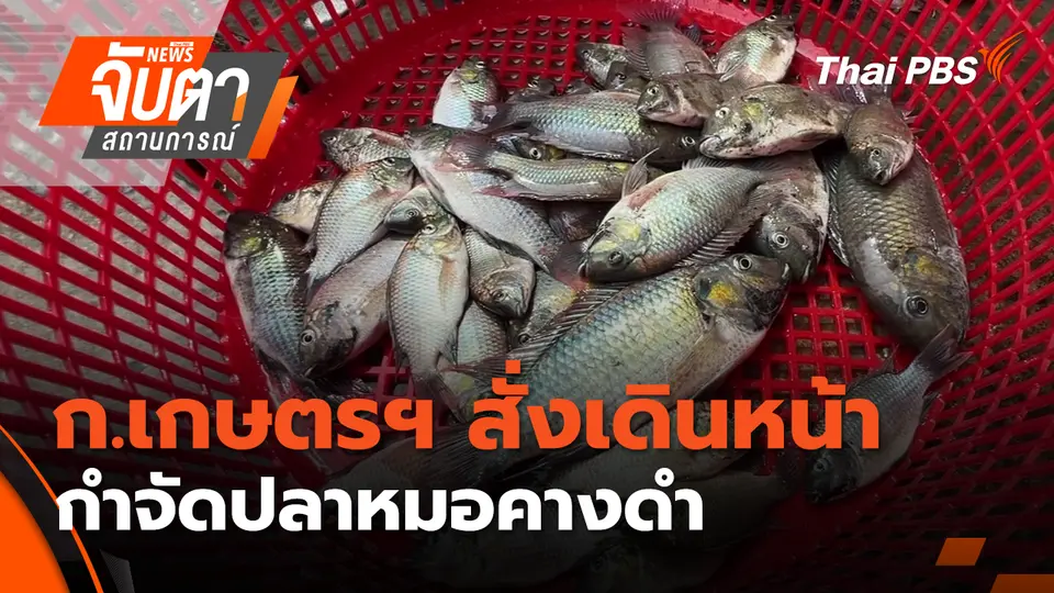 จับตาสถานการณ์