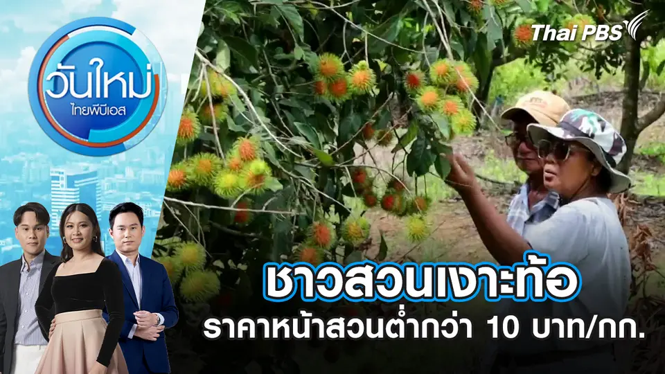 วันใหม่  ไทยพีบีเอส