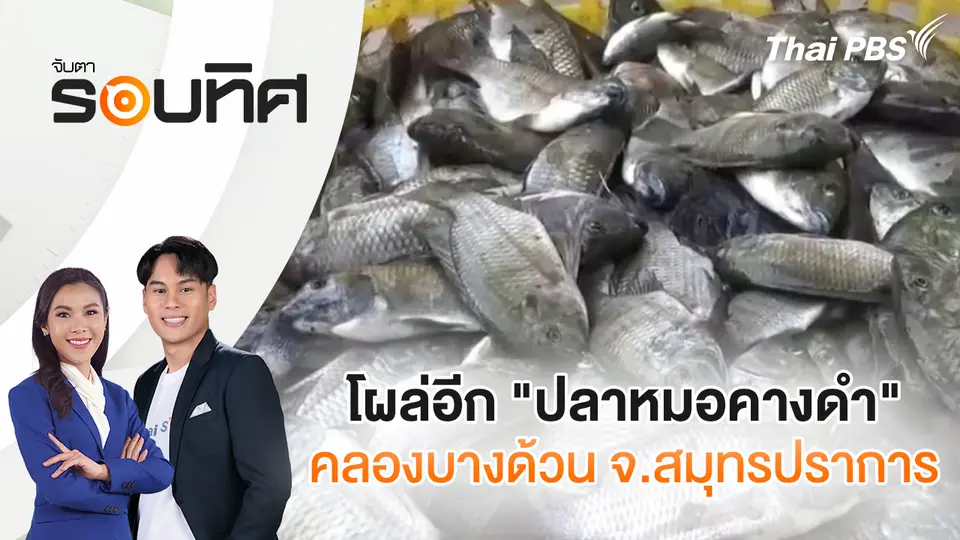จับตารอบทิศ