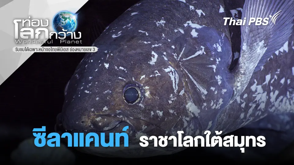 ท่องโลกกว้าง