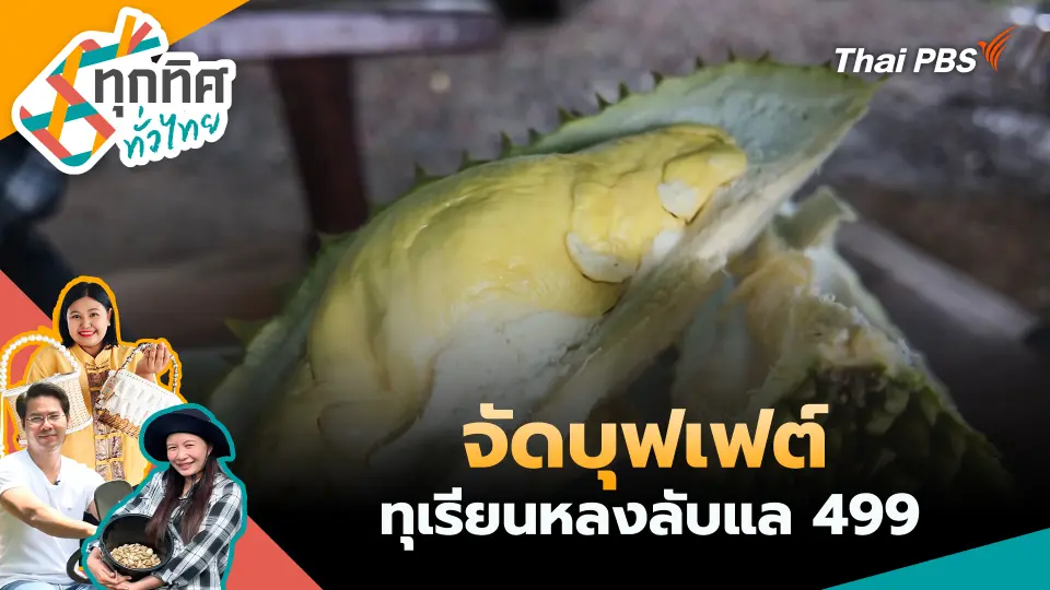 ทุกทิศทั่วไทย
