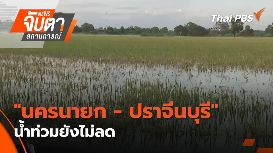 จับตาสถานการณ์