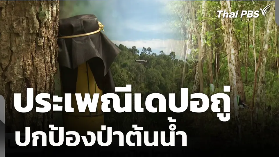 ประเพณีเดปอถู่ ปกป้องป่าต้นน้ำ