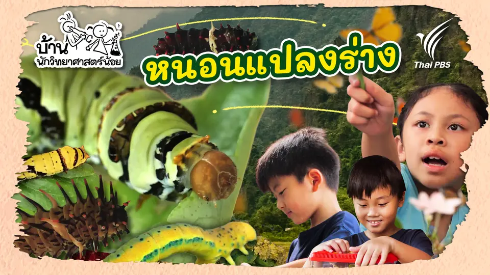 หนอนแปลงร่าง