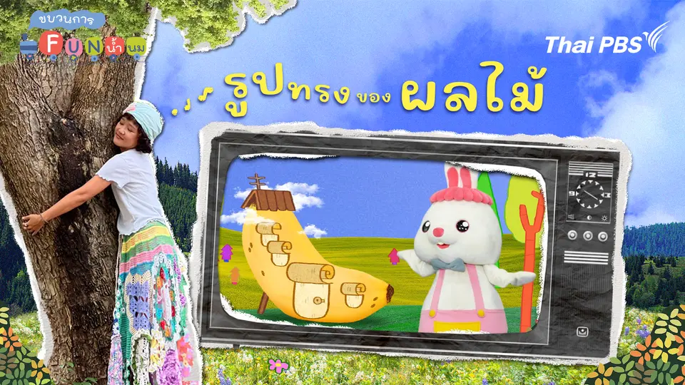 รูปทรงของผลไม้