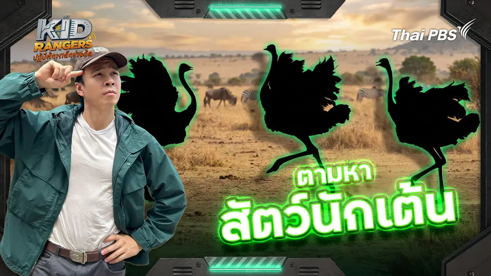 ตามหาสัตว์นักเต้น