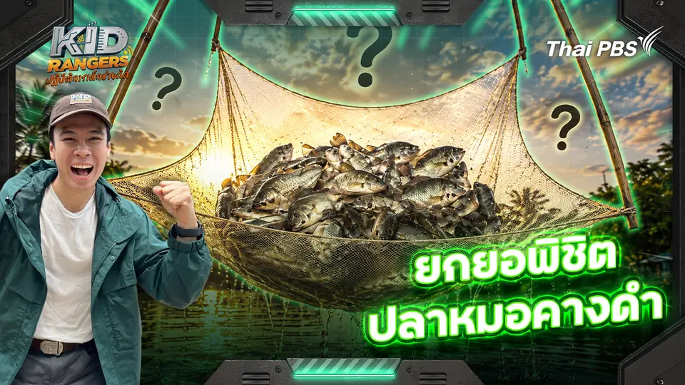 ยกยอพิชิตปลาหมอคางดำ