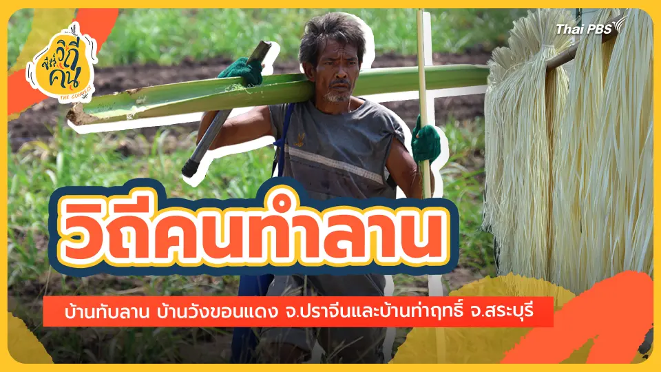 วิถีคนทำลาน บ้านทับลาน บ้านวังขอนแดง จ.ปราจีน และบ้านท่าฤทธิ์ จ.สระบุรี 