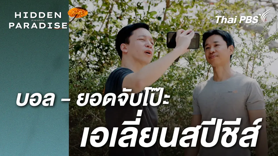 บอลยอดจับโป๊ะ เอเลี่ยนสปีชีส์  | Hidden paradise สวรรค์เร้น
