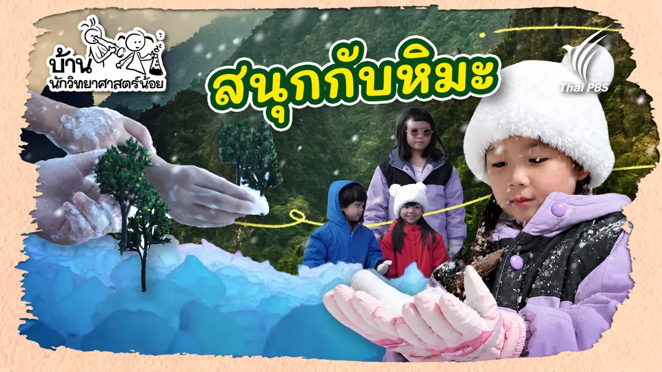 สนุกกับหิมะ