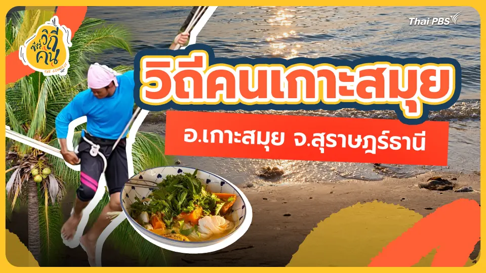 วิถีคนเกาะสมุย อ.เกาะสมุย จ.สุราษฎร์ธานี