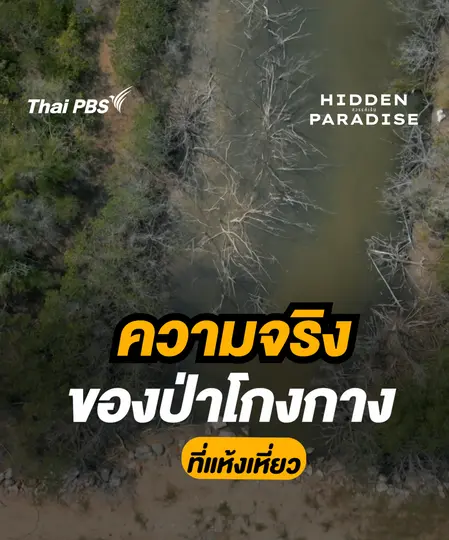 ความจริงของป่าโกงกางที่แห้งเหี่ยว  | Hidden Paradise สวรรค์เร้น