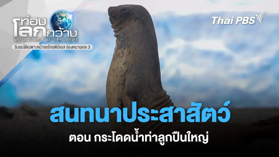 ท่องโลกกว้าง