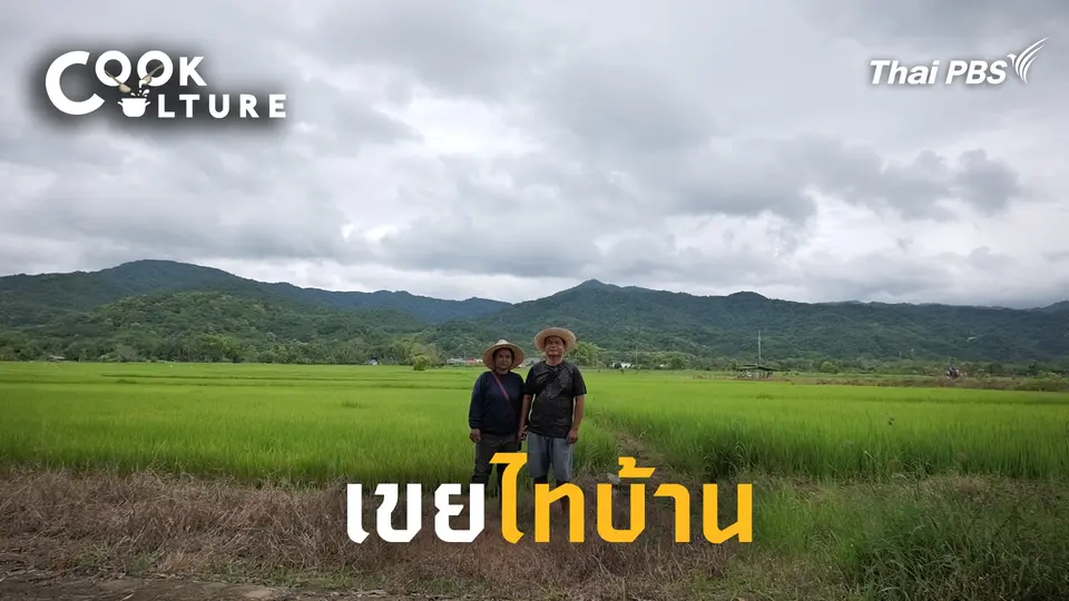 เขยไทบ้าน