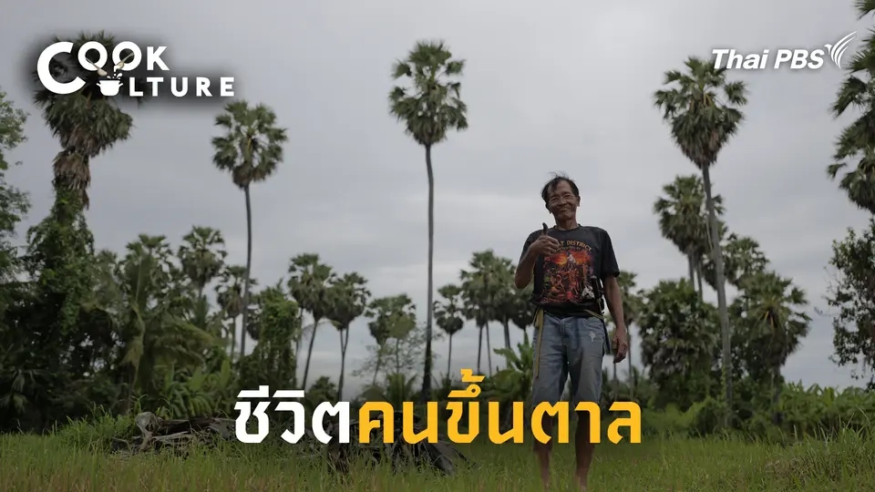 ชีวิตคนขึ้นตาล