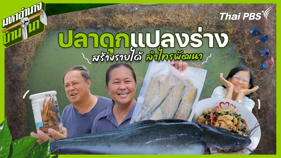 ปลาดุกแปลงร่าง สร้างรายได้ ลำไทรพัฒนา