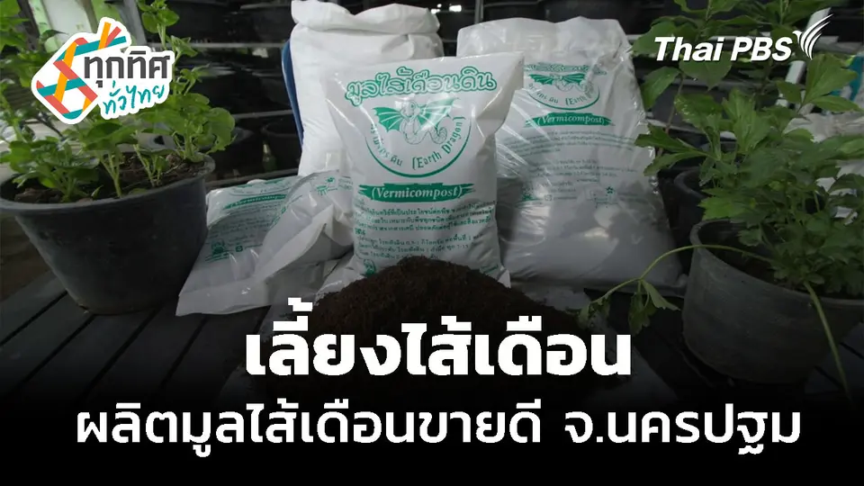 เลี้ยงไส้เดือน ผลิตมูลไส้เดือนขายดี จ.นครปฐม