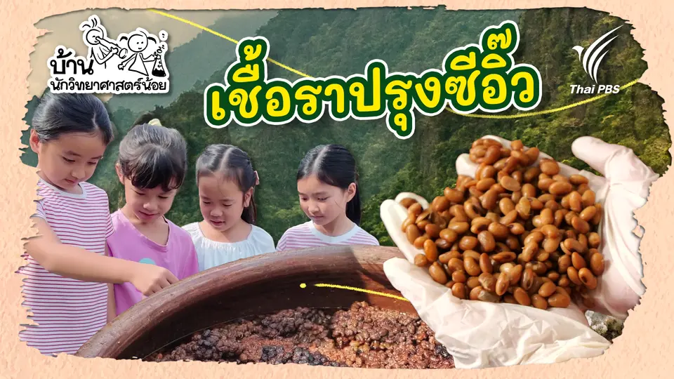 เชื้อราปรุงซีอิ๊ว