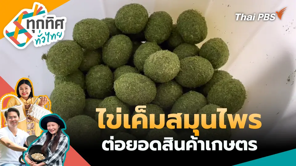 ทุกทิศทั่วไทย