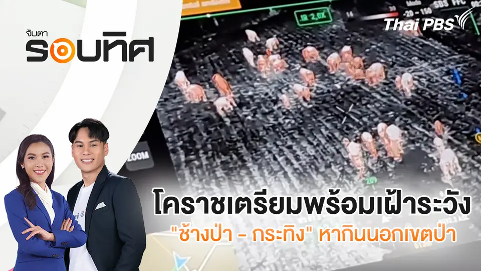 โคราชเตรียมพร้อมเฝ้าระวัง "ช้างป่า - กระทิง" หากินนอกเขตป่า