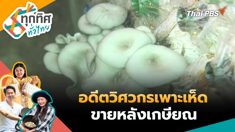 อดีตวิศวกรเพาะเห็ดขายหลังเกษียณ