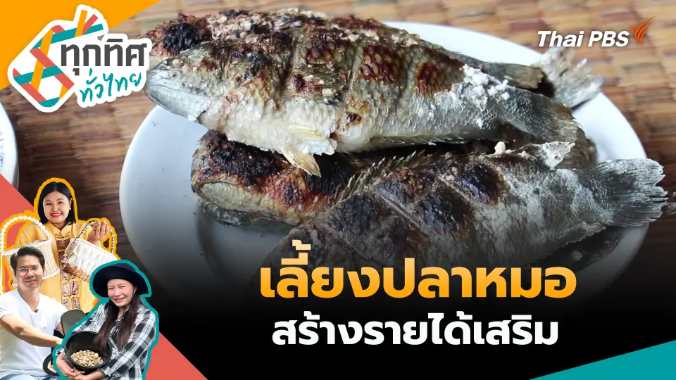 ทุกทิศทั่วไทย