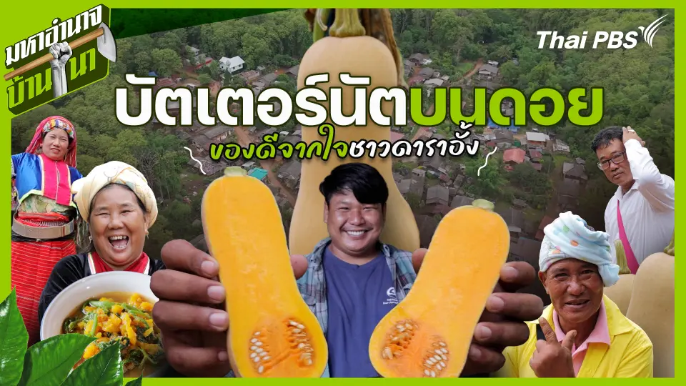 บัตเตอร์นัตบนดอย ของดีจากใจชาวดาราอั้ง
