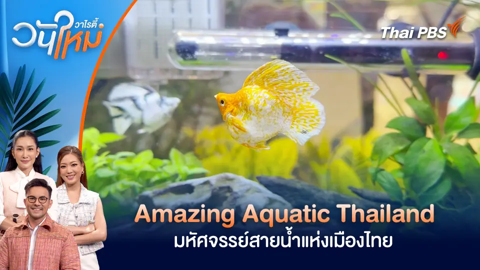 วันใหม่วาไรตี้
