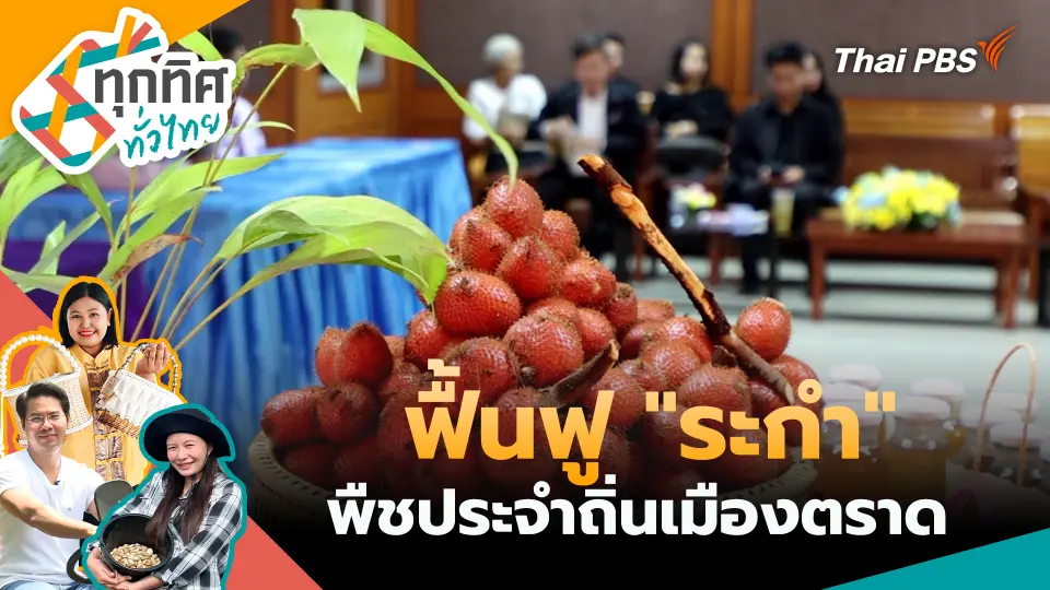 ทุกทิศทั่วไทย