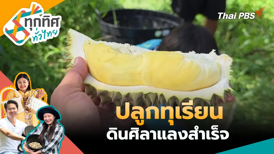 ทุกทิศทั่วไทย