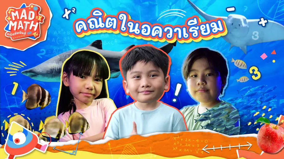 คณิตในอควาเรียม