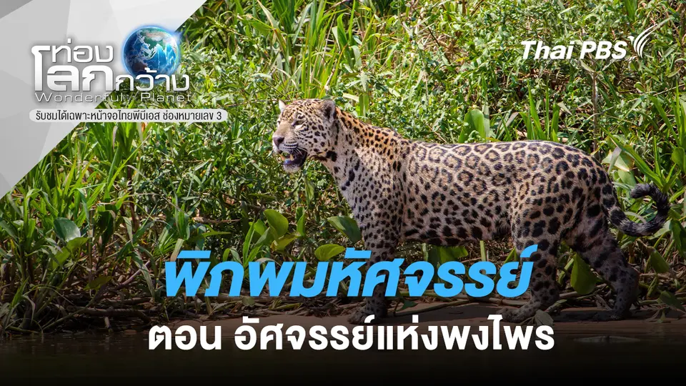 ท่องโลกกว้าง