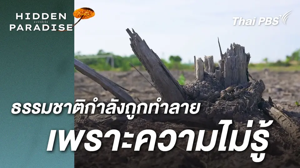 ธรรมชาติที่สมบูรณ์ กำลังถูกทำลายโดยความไม่รู้ |  Hidden paradise สวรรค์เร้น