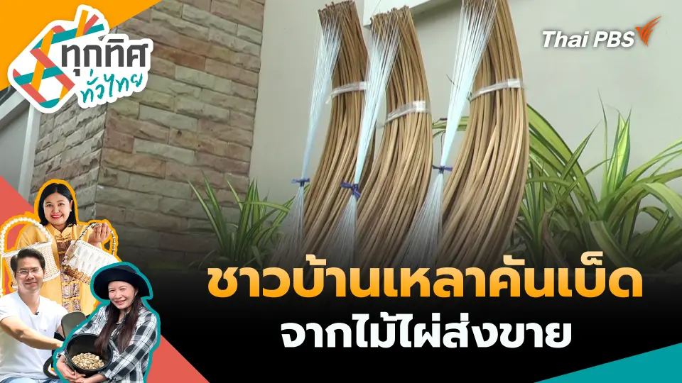 พยาบาลใกล้เกษียณเลี้ยงจิ้งหรีดสร้างรายได้