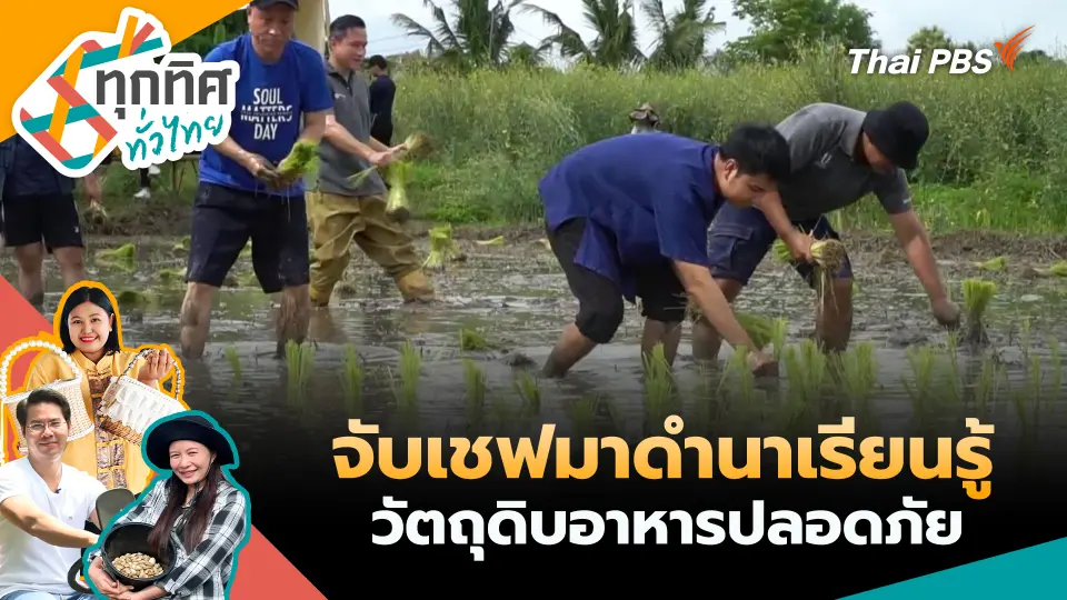 จับเชฟมาดำนาเรียนรู้วัตถุดิบอาหารปลอดภัย 
