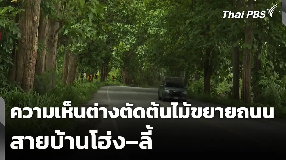 ความเห็นต่างตัดต้นไม้ขยายถนนสายบ้านโฮ่ง–ลี้
