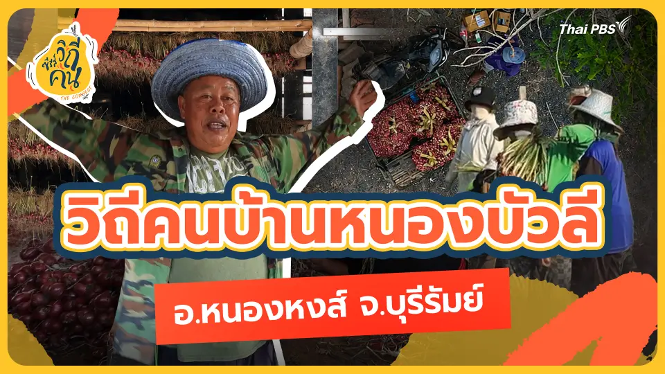 วิถีคนบ้านหนองบัวลี อ.หนองหงส์ จ.บุรีรัมย์