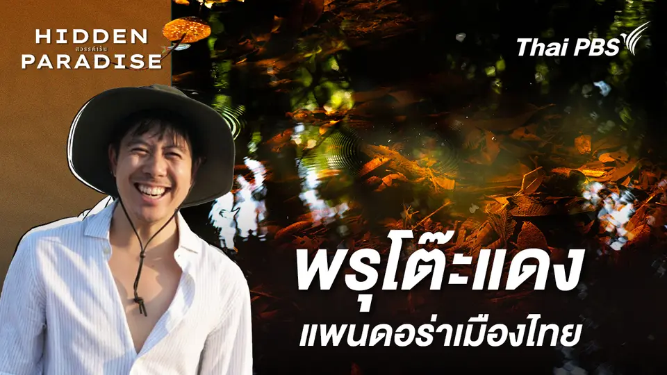 พรุโต๊ะแดง : แพนดอร่าเมืองไทย