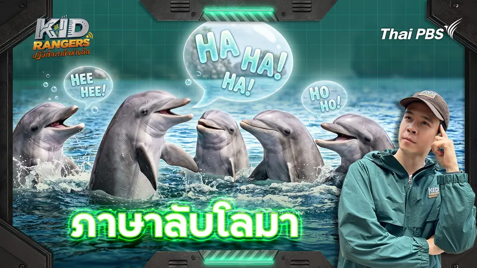 ภาษาลับโลมา