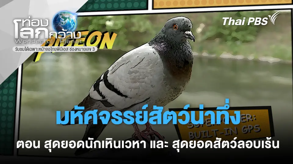 ท่องโลกกว้าง