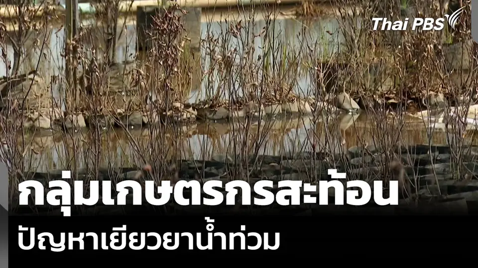 กลุ่มเกษตรกรสะท้อน ปัญหาเยียวยาน้ำท่วม