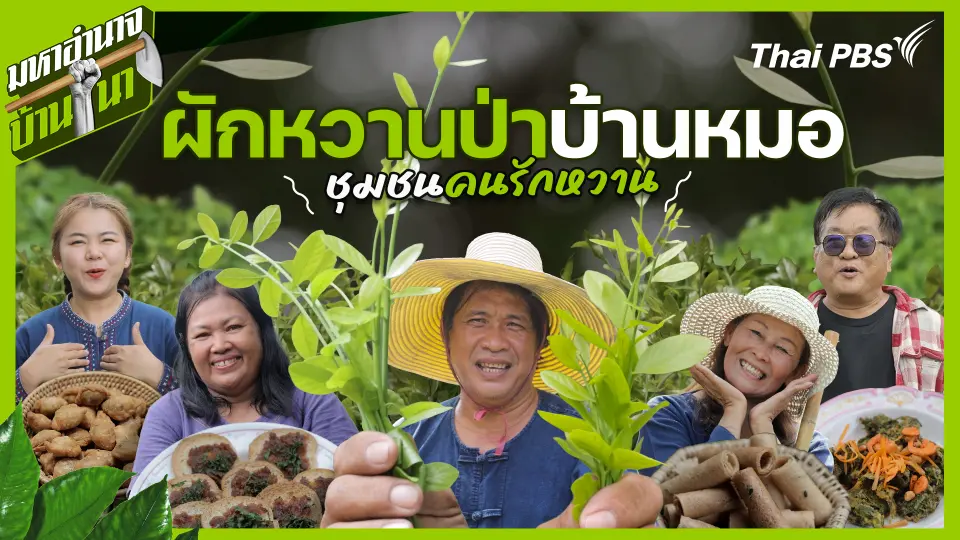 มหาอำนาจบ้านนา