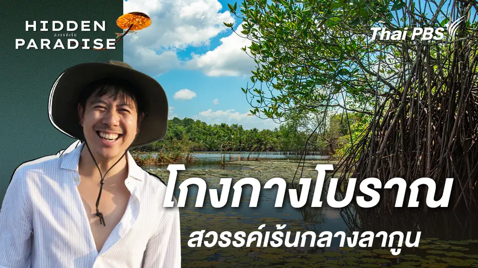 โกงกางโบราณ : สวรรค์เร้นกลางลากูน