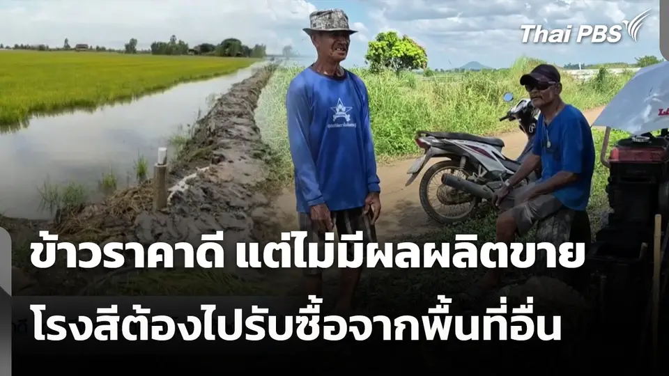 ข้าวราคาดี แต่ไม่มีผลผลิตขาย โรงสีต้องไปรับซื้อจากพื้นที่อื่น
